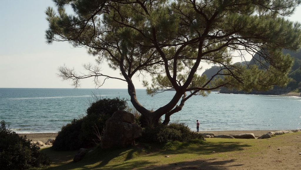 Akbük Public Beach (Marmaris, Turquía) — foto 3