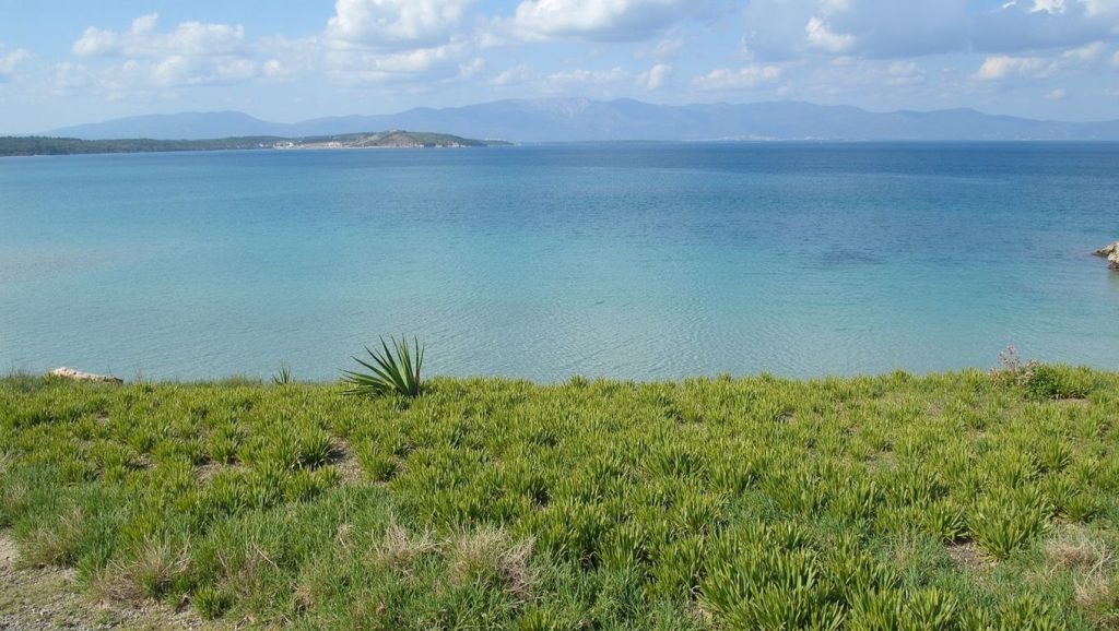 Akçabük Sahili (Bodrum, Turquía) — foto 5