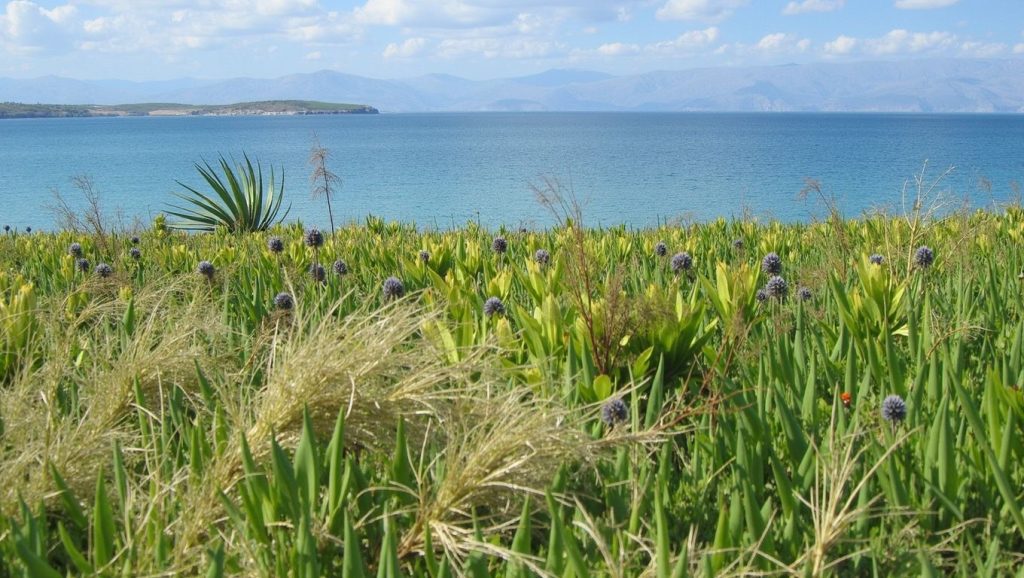 Akçabük Sahili (Bodrum, Turquía) — foto 6
