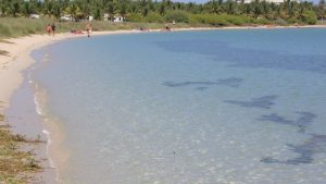 Alaminos Beach