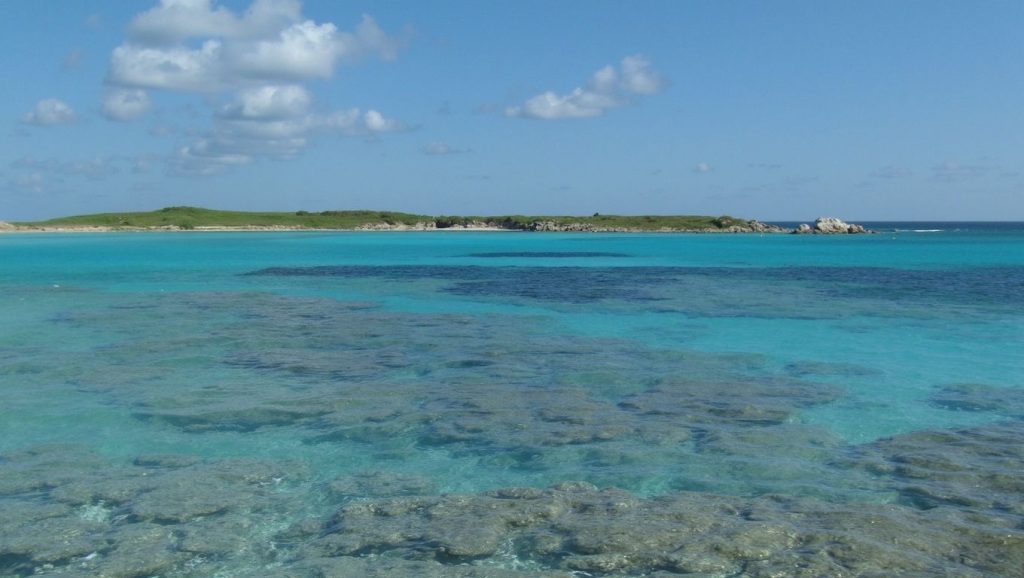 Arena fina en Alisu, Cap Corse, Córcega