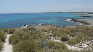 Alki Beach (Paphos, Chipre)