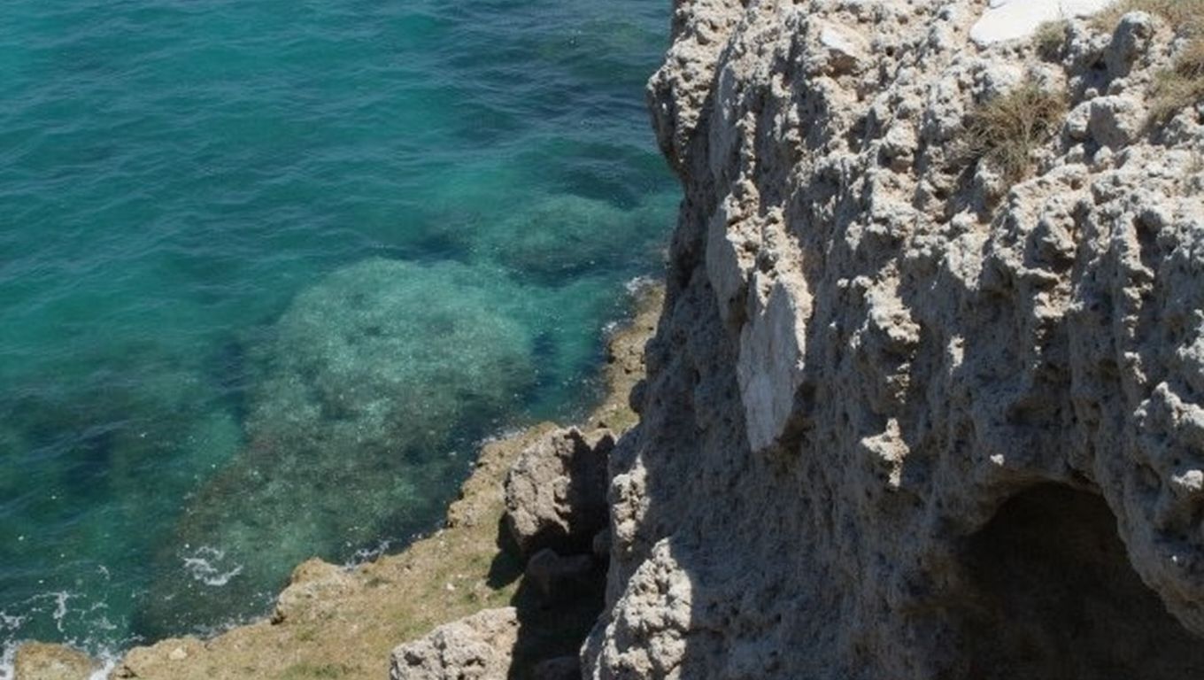 Aloupotrypes playa cuevas marinas Larnaca Chipre