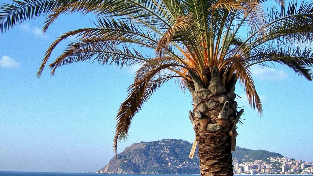 Angel Beach (Antalya, Turquía) — foto 5