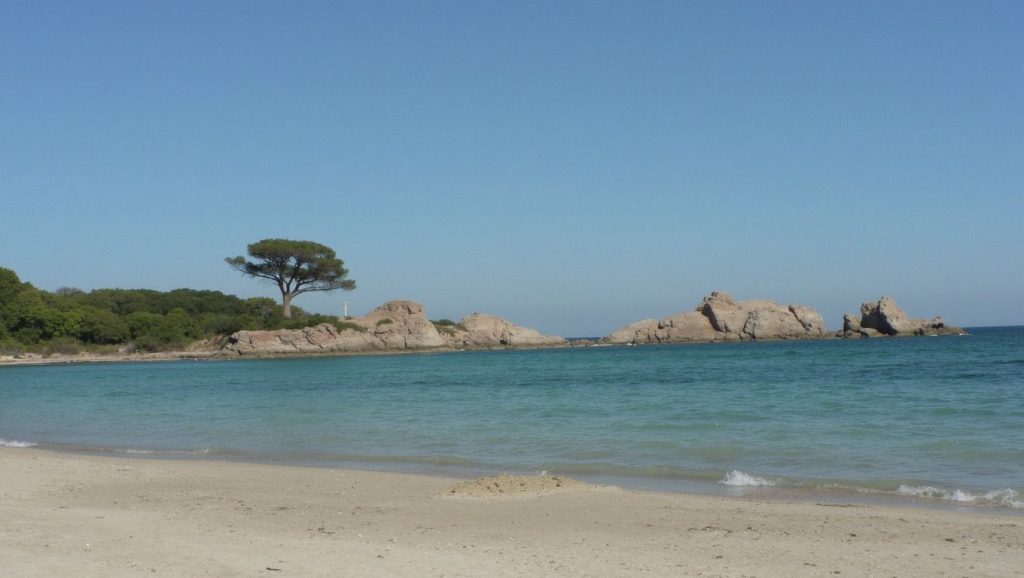 Anse de Favone (Porto-Vecchio, Córcega) — foto 2