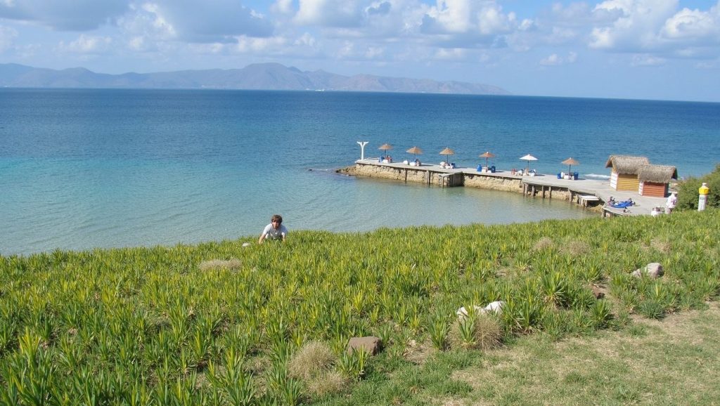 Entorno de Ardıç Plajı, ?, Turquía