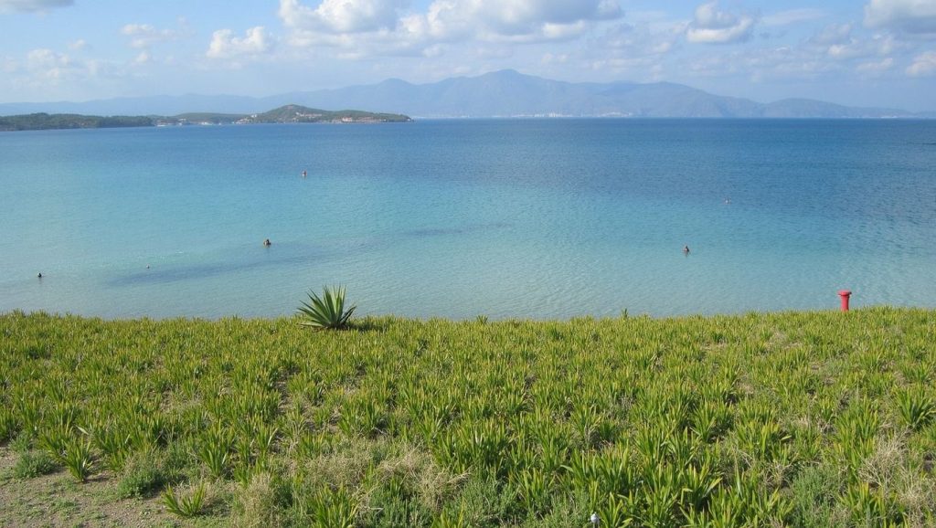 Textura de arena en Ardıç Plajı, ?, Turquía
