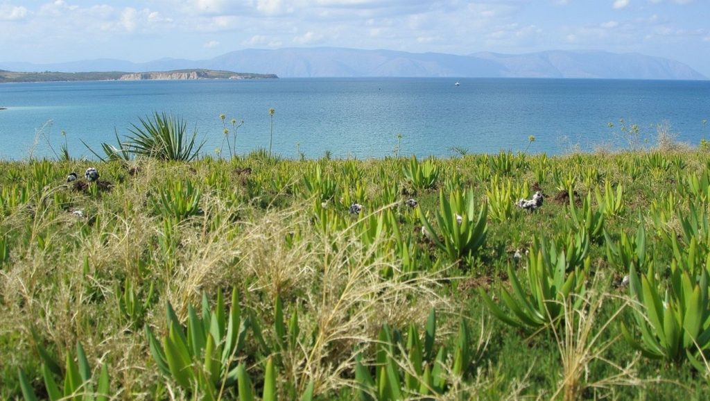 Vista del litoral en Ardıç Plajı, ?