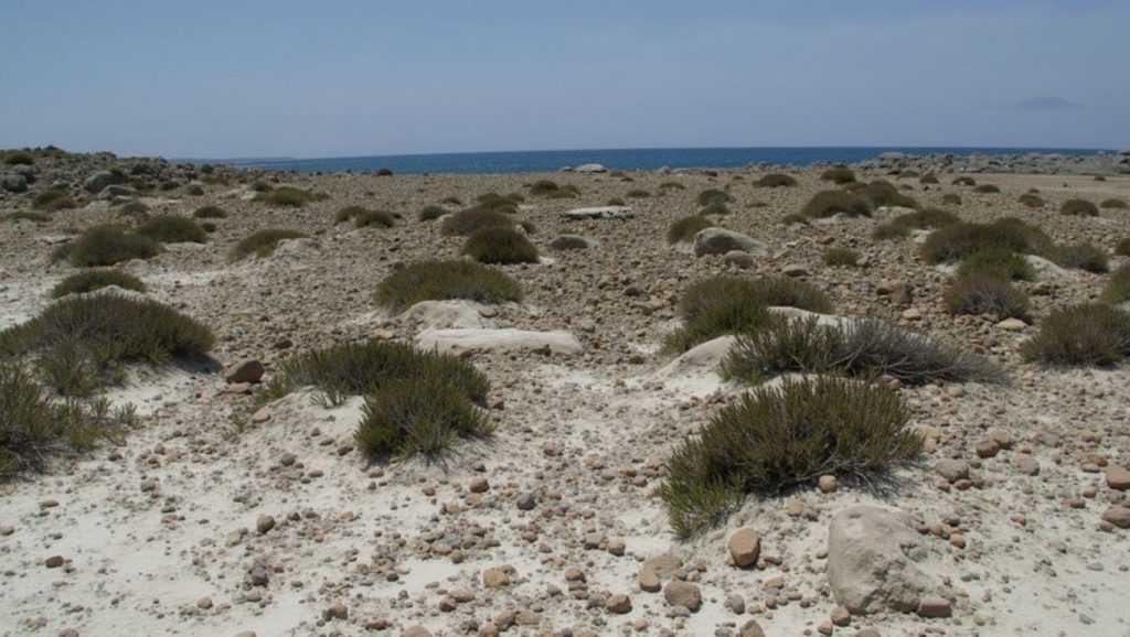 Arena y orilla en Armyropigado Beach, ?, Chipre