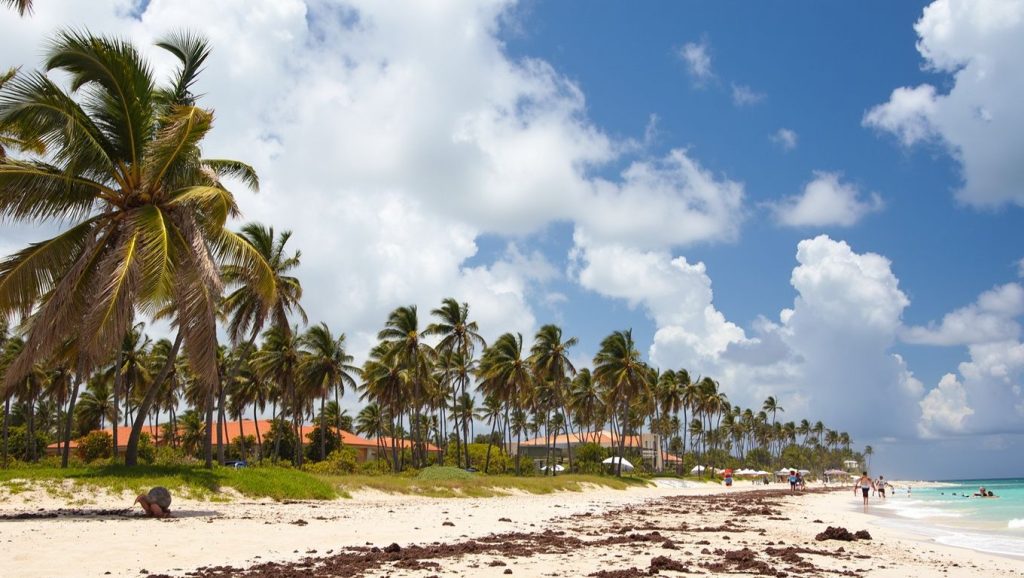 Arena fina en Bahía de las Águilas, Pedernales, República Dominicana