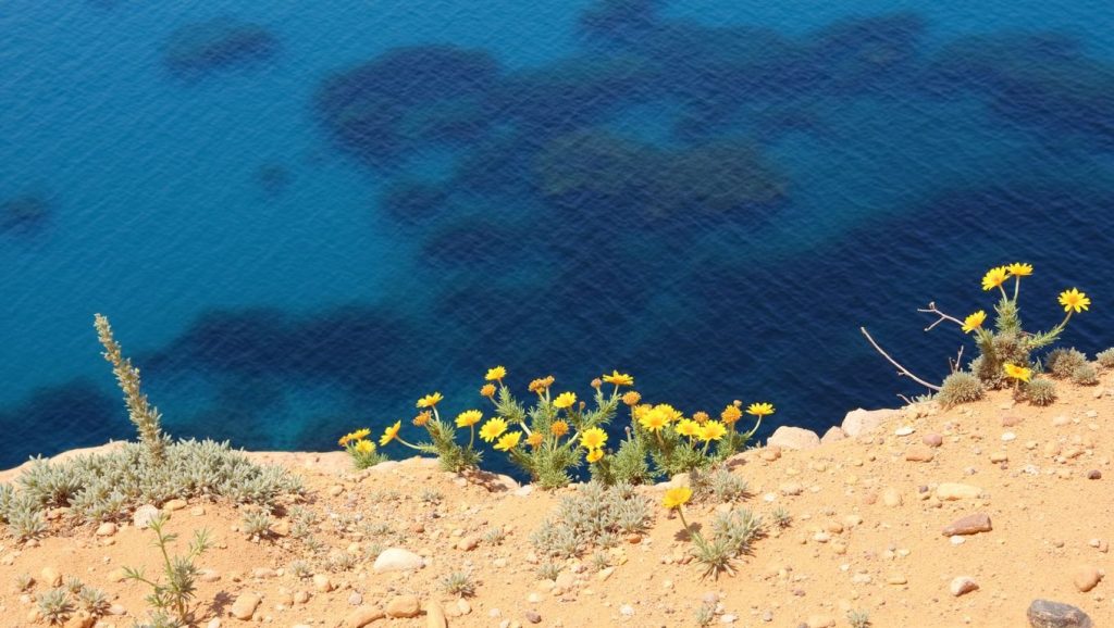 Balluta Bay (San Julian, Malta) — foto 5