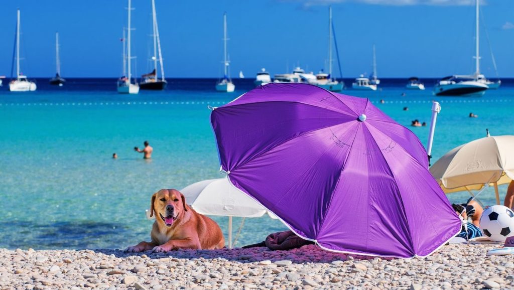 Orilla tranquila de Beach for dogs, playa de Grad Vodice