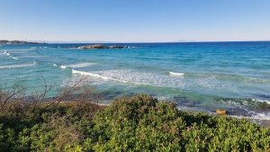 Blue Coral (Paphos, Chipre)