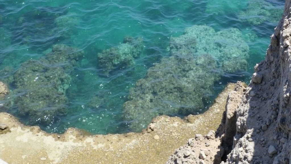 Amplio horizonte marino en Blue Lagoon, ?