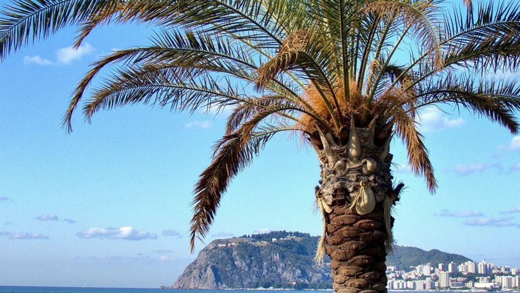Bodrum Public Beach (Marmaris, Turquía) — foto 5