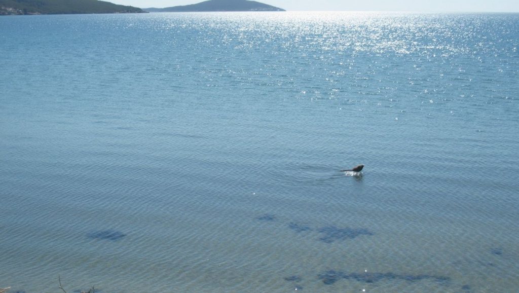 Çakıl Plajı (Fethiye, Turquía) — foto 1