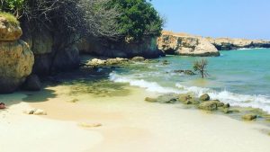 Cala Susca