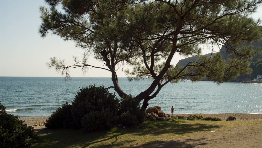 Çamiçi Halk Plajı (Antalya, Turquía) — foto 3