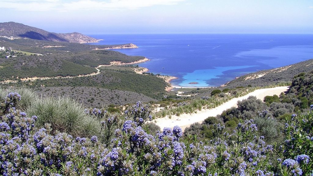 Vista amplia de Campo Dell'Oro en Ajaccio, Córcega