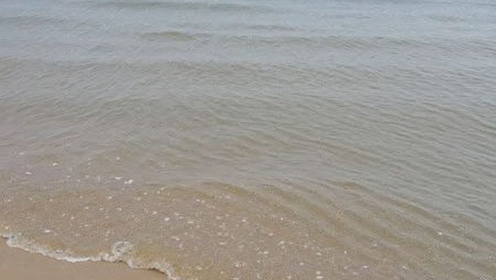 Spiaggia di Castellaneta Marina — foto 6 de 6