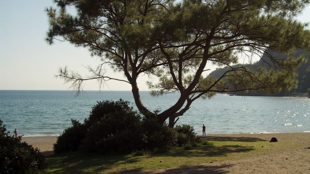 Çoban plaj (Fethiye, Turquía) — foto 3