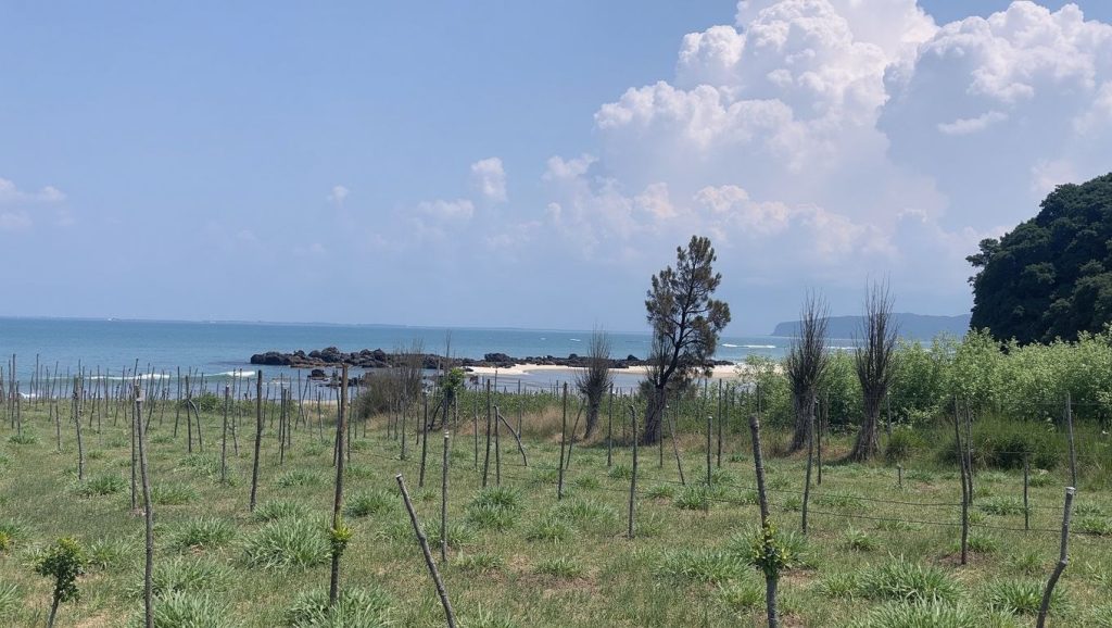 Vista de Coco Beach desde la orilla, Ksamil