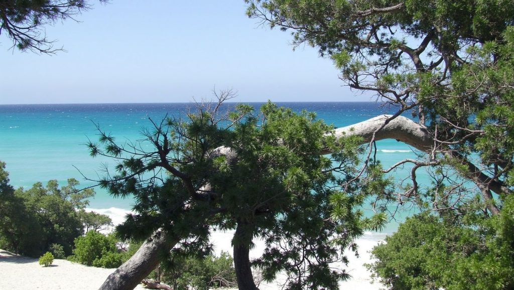 Playa Crique Ventilegne en Porto-Vecchio, Córcega