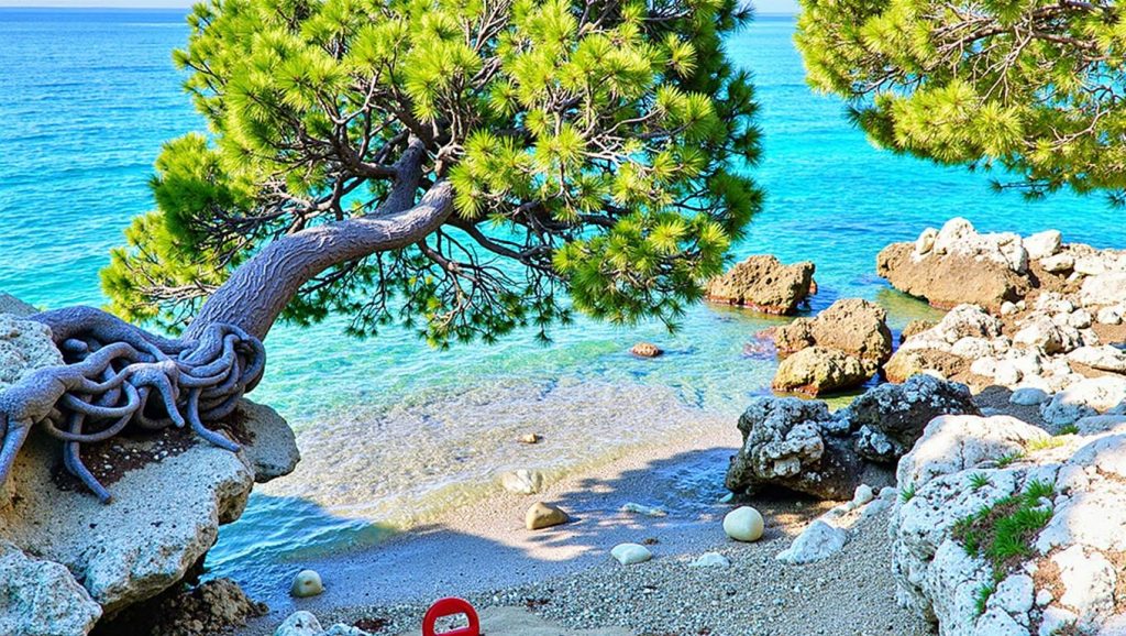 Vista del litoral en Cvitačka FKK, Croacia