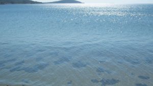 D-Marin Didim The Blue Point Beach Club