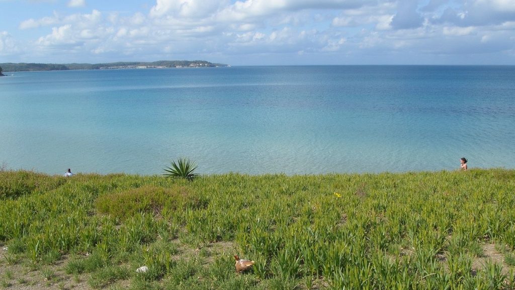 Daima (Antalya, Turquía) — foto 5