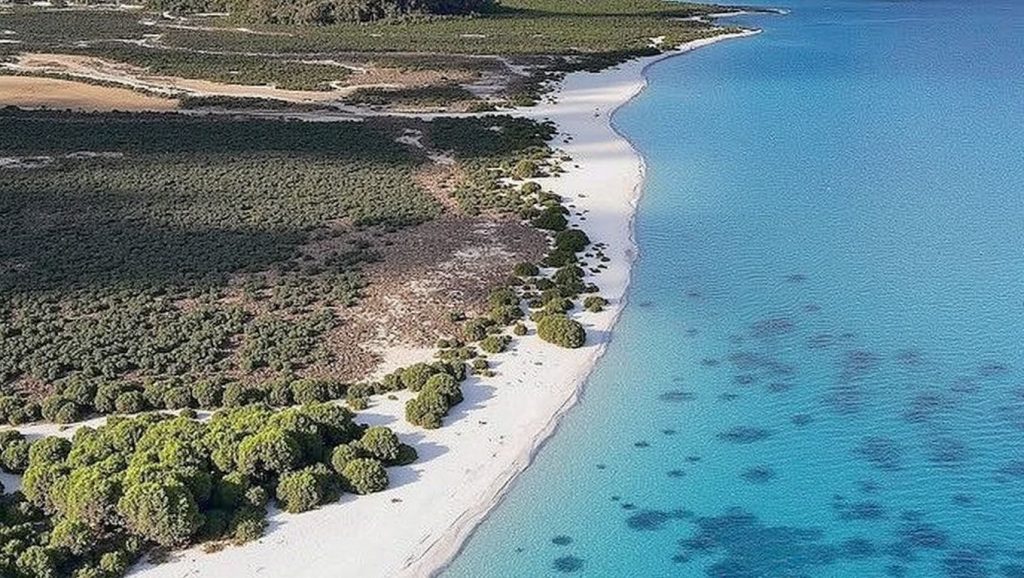 Playa de Adrano 1 — foto 6 de 6