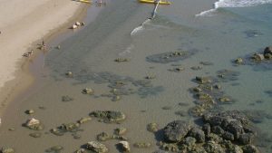 Playa de Butera 1