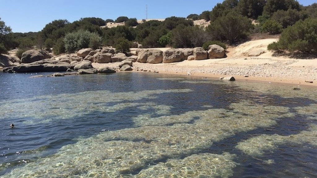 Playa de Falcone 1 — foto 6 de 6