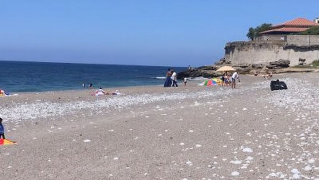 Playa de Ficarazzi 1 — foto 4 de 6