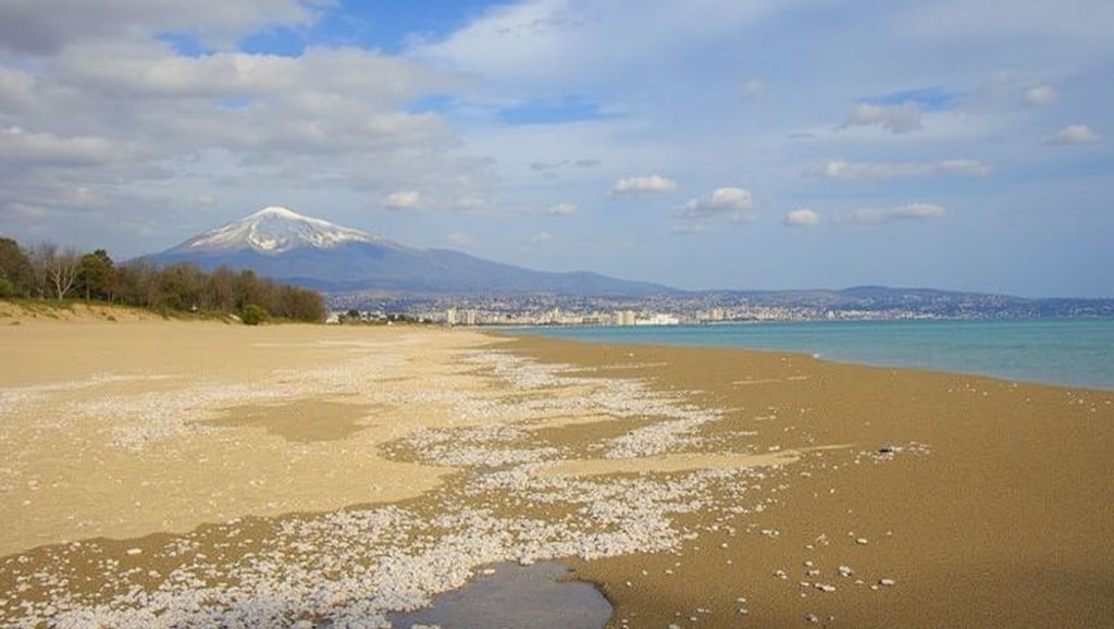 Playa de San Gregorio di Catania 1 — foto 4 de 6