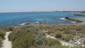 💎 Aguas cristalinas (48 playas)
