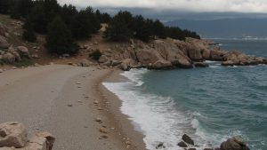 Dog beach