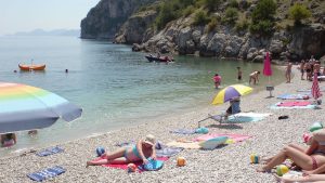 Dog beach