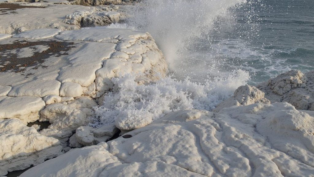 Olas rompiendo en Dog Beach, ?