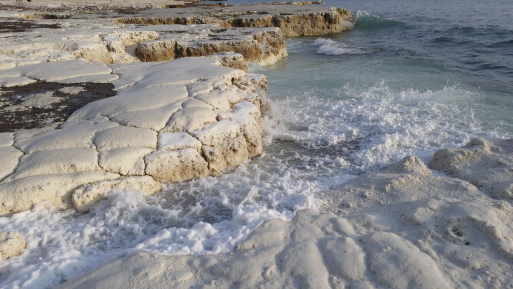 Vista del litoral en Dog Beach, ?