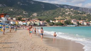 Dogfriendly Beach