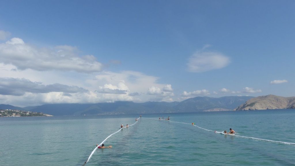 Dogfriendly Beach (Malinska-Dubašnica, Krk) — foto 4