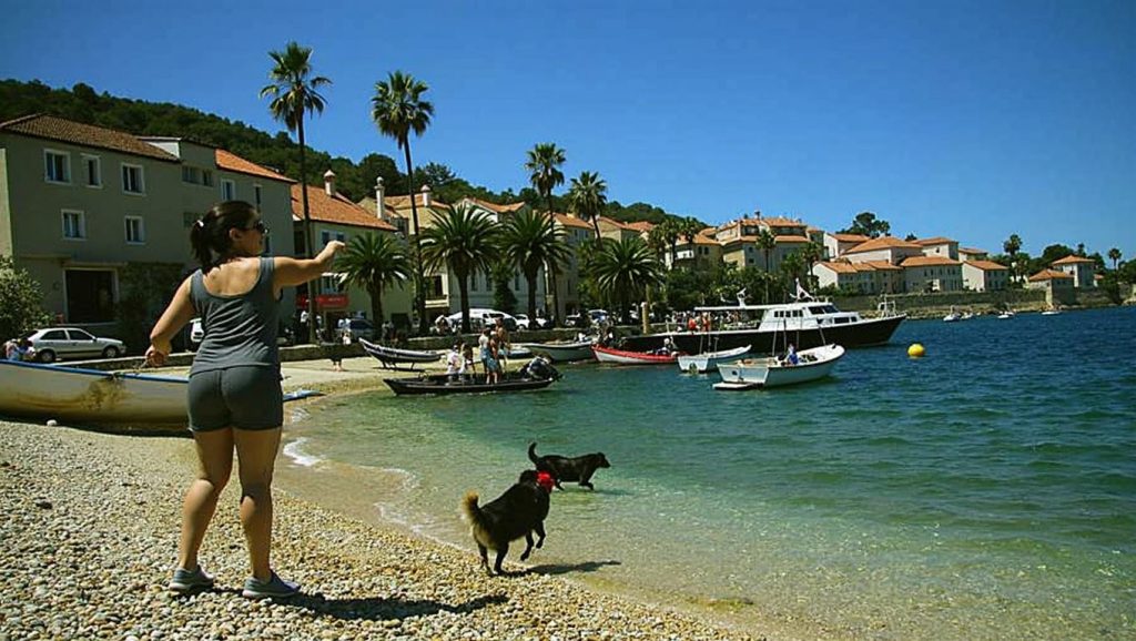 Orilla de Dogs friendly beach con olas suaves en Croacia