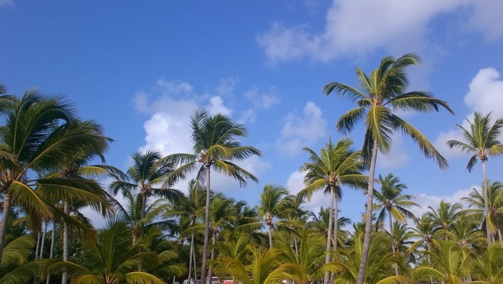 Vista del litoral en El Caletón, Samaná