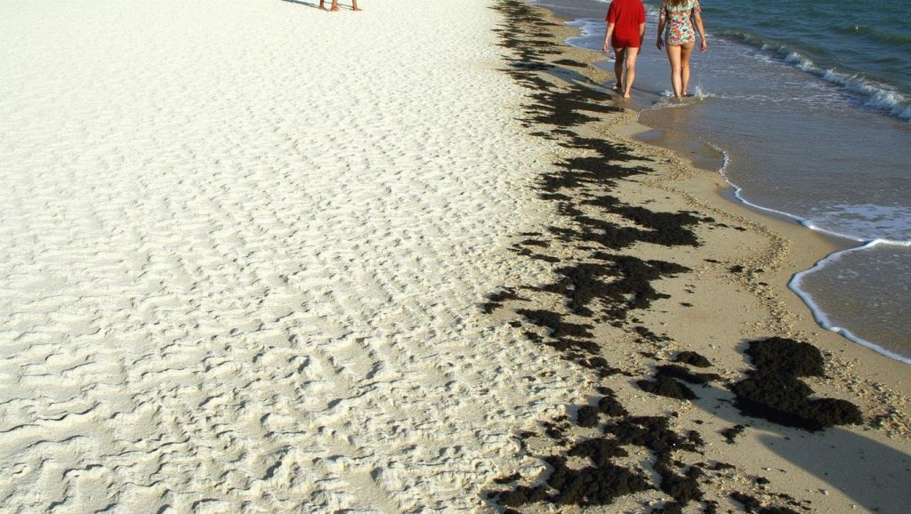 Playa El Francés desde la arena, Santiago de Cuba, Cuba