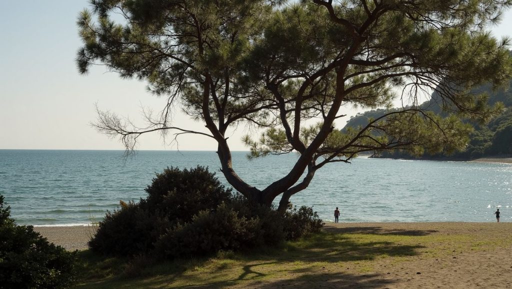 Evgónimos (Bodrum, Turquía) — foto 3