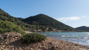 Falez Halk