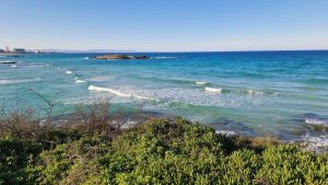 Fig Tree Bay (Ayia Napa, Chipre)
