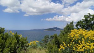 FKK Herceg Novi