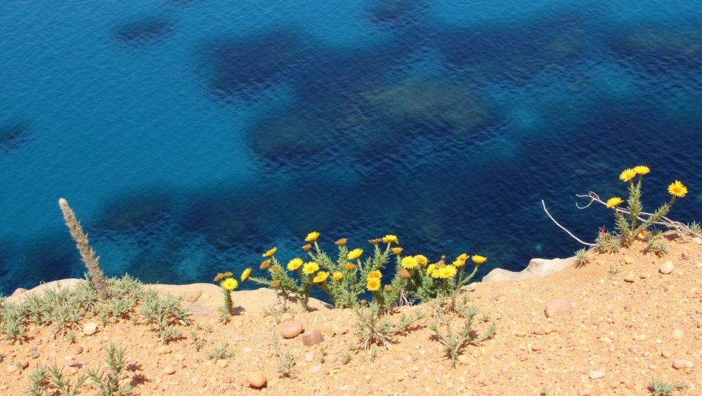 Ghajn Tuffiha (Mellieha, Malta) — foto 5